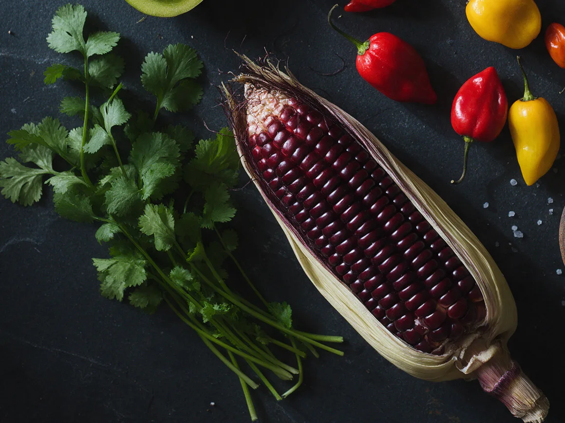 Mazorca de maíz morado junto a un manojo de cilantro y ajíes rojos y amarillos sobre pizarra oscura